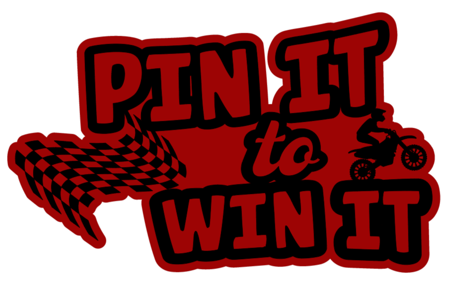 Pin It to Win It Sticker 6"x3"